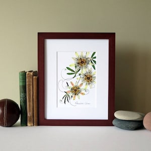 Pressed flower art print, 8" x 10" matted, Passion flower, Passion Vine, botanical art print, no.045