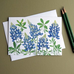 Bluebonnets, Texas state flower, pressed flowers card, Austin, Hill Country, wildflower greeting card no.1193