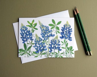 Bluebonnets, Texas state flower, pressed flowers card, Austin, Hill Country, wildflower greeting card no.1193