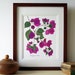 see more listings in the Botanical prints 11x14 section