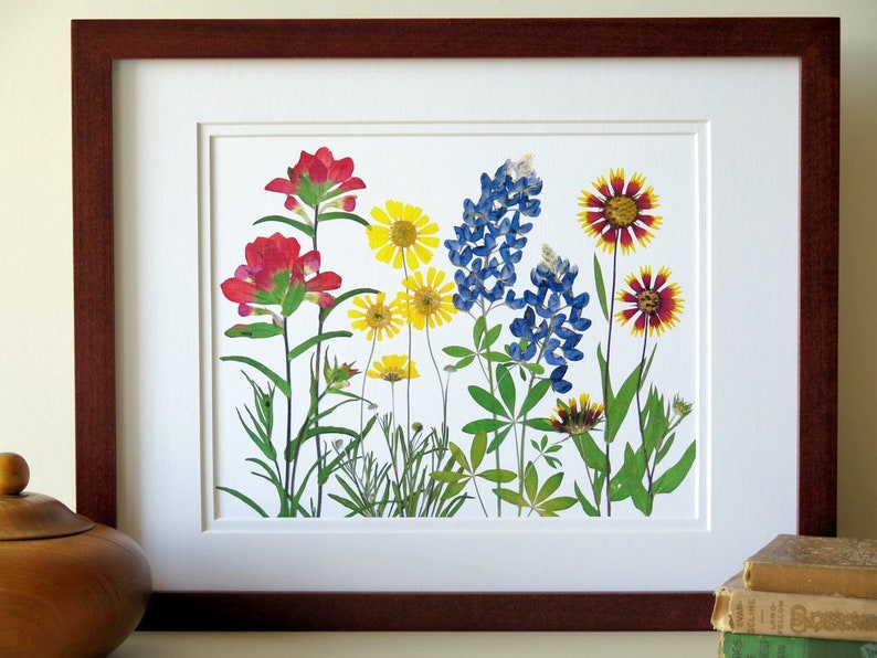 Pressed flower art print, 11x14 double matted, Texas wildflowers, Bluebonnet flowers and more, botanical wall art, gift for Texan, no. 0067 image 8