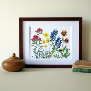 Pressed flower art print, 11x14 double matted, Texas wildflowers, Bluebonnet flowers and more, botanical wall art, gift for Texan, no. 0067 image 3