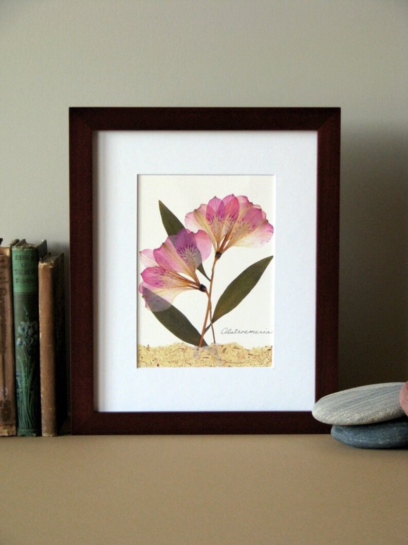 Pressed Flowers Print 8 X 10 Matted Etsy