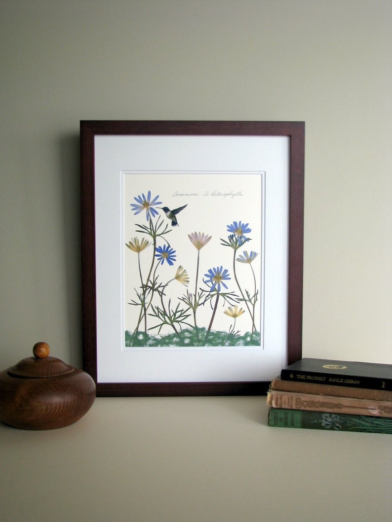 Pressed flower print, 11x14 double matted, Anemone flowers with hummingbird, soft color flowers, garden gift, botanical wall decor no. 0011 image 1