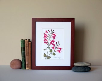 Pressed flower print, 8" x 10" matted, Cedar Sage flower, native Texas plant art, matted botanical art decor, no. 007