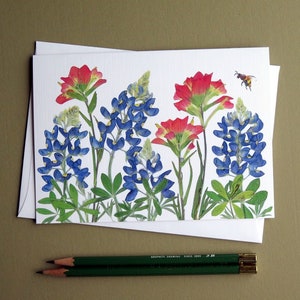 Texas Bluebonnets and Indian Paintbrush pressed flowers card, wildflowers, Austin, gift for Texan, bee, greeting card no.1187 image 1