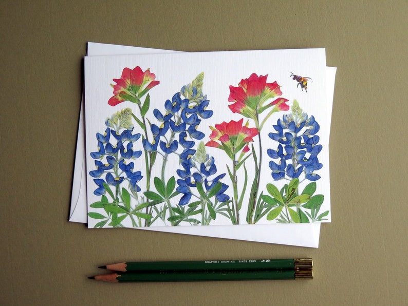 Texas Bluebonnets and Indian Paintbrush pressed flowers card, wildflowers, Austin, gift for Texan, bee, greeting card no.1187 image 1