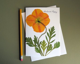 Orange Iceland Poppy flower, pressed flower note card, poppy flower, floral card image, botanical greeting card, no.1124