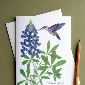 Bluebonnet wildflower with hummingbird, Texas bluebonnet, gift for a Texan, botanical greeting card, no.1152 image 6