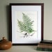 see more listings in the Botanical prints 11x14 section