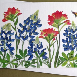 Texas Bluebonnets and Indian Paintbrush pressed flowers card, wildflowers, Austin, gift for Texan, bee, greeting card no.1187 image 7