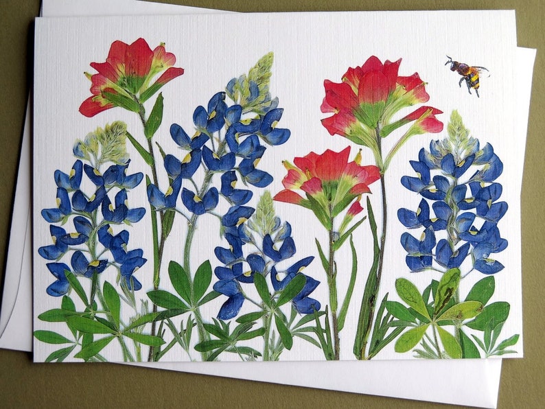 Texas Bluebonnets and Indian Paintbrush pressed flowers card, wildflowers, Austin, gift for Texan, bee, greeting card no.1187 image 7