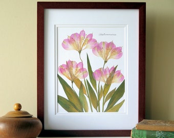 Pressed flowers print, 11x14 double matted, Alstroemerias botanical art, wall decor art, no. 0089