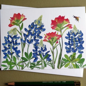 Texas Bluebonnets and Indian Paintbrush pressed flowers card, wildflowers, Austin, gift for Texan, bee, greeting card no.1187 image 2