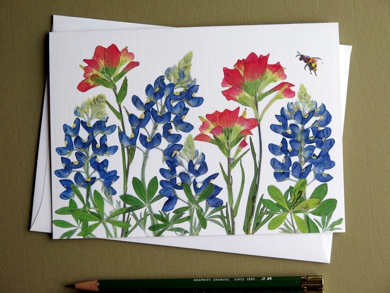 Texas Bluebonnets and Indian Paintbrush pressed flowers card, wildflowers, Austin, gift for Texan, bee, greeting card no.1187 image 2