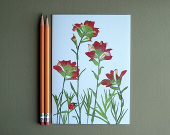 Indian Paintbrush wildflowers of Texas, Texas hill country, ladybug, pressed flowers, botanical greeting card, no.1151