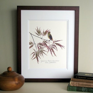 Pressed leaves print, 11x14 double matted, Japanese Maple leaves with bird on branch, wall decor no. 0020