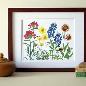 Pressed flower art print, 11x14 double matted, Texas wildflowers, Bluebonnet flowers and more, botanical wall art, gift for Texan, no. 0067 image 7