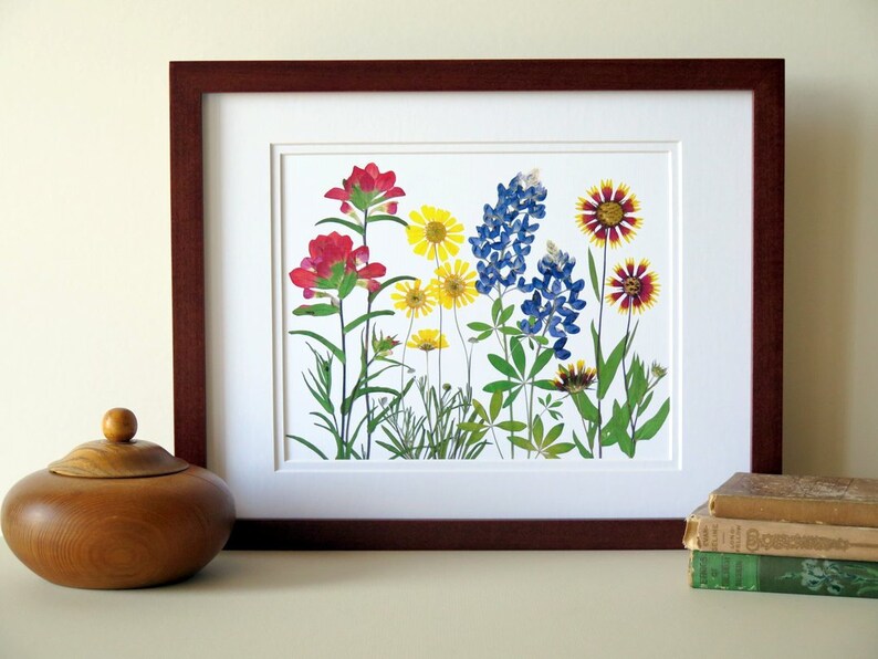 Pressed flower art print, 11x14 double matted, Texas wildflowers, Bluebonnet flowers and more, botanical wall art, gift for Texan, no. 0067 image 7