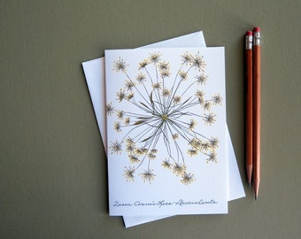 Queen Anne's Lace flower, single bloom, dried wildflower art, card for her, nature notecard, botanical pressed flower greeting card, no.1021