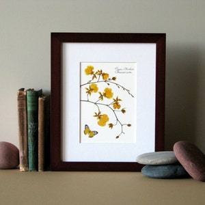 Pressed flower print, 8" x 10" matted, Orchids, Orchid wall art, botanical print, botanical art, yellow butterfly, no. 016