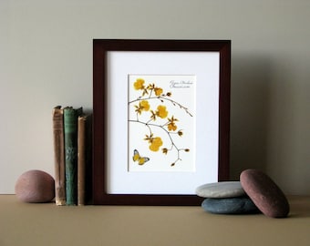 Pressed flower print, 8" x 10" matted, Orchids, Orchid wall art, botanical print, botanical art, yellow butterfly, no. 016