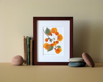 Pressed flower art, 8" x 10" matted, Bougainvillea blooms, flat flower designs, Apricot, botanical wall hanging art no. 066