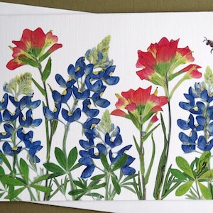 Texas Bluebonnets and Indian Paintbrush pressed flowers card, wildflowers, Austin, gift for Texan, bee, greeting card no.1187 image 3