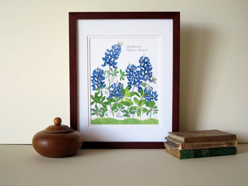 Pressed flowers print, 11x14 double matted, Texas Bluebonnets, Texas wildflowers, Texan gift, botanical art print, wall decor no. 0030 image 2