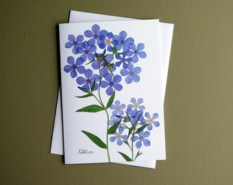 Phlox greeting card, pressed flower card image, blank inside, pressed Phlox print, Mother's Day card, dried flower art card no.1201