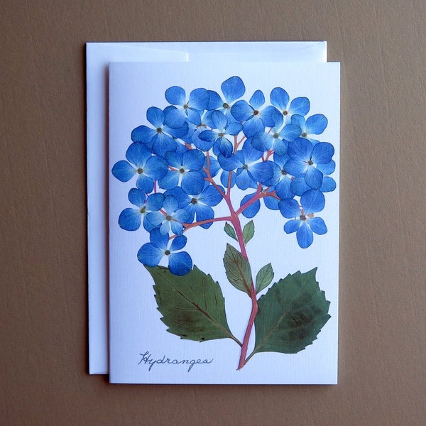 Blue Hydrangea flowers, Hydrangea dried flowers, pressed flowers, greeting card no.1053