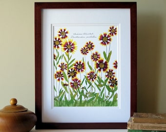 Pressed flower print, 11x14 double matted, Indian Blanket wildflowers, Texas Hill Country, Texas State school, botanical wall decor no. 0040