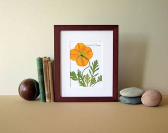 Pressed flower print, 8" x 10" matted, Iceland Poppy, bright orange, botanical art, small wall art, no. 017