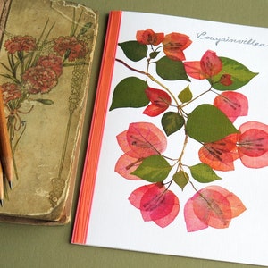 Bougainvillea flowers, branch, green leaves, floral card, botanical, Bougainvilleas pressed flower greeting card, no.1033 image 1