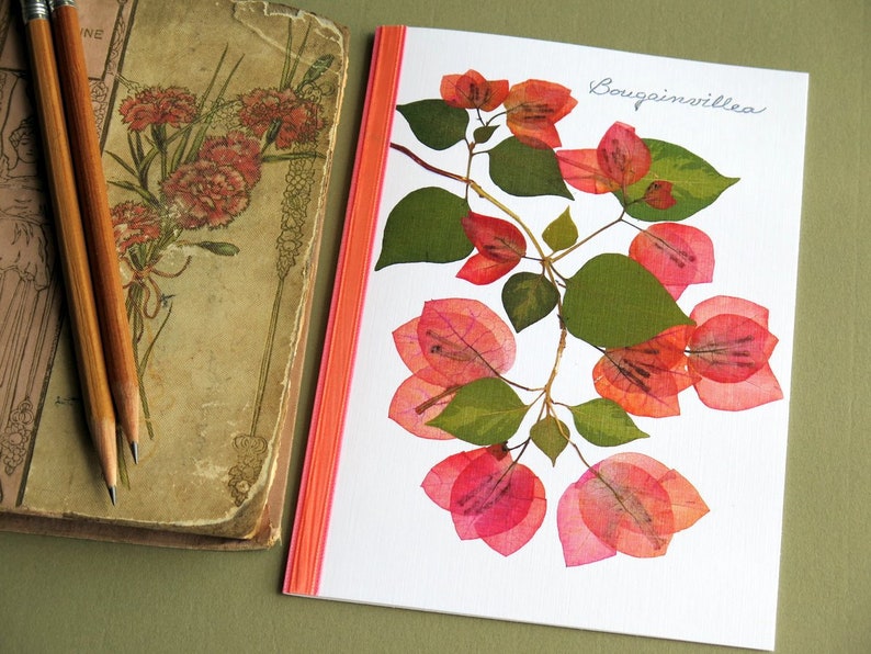 Bougainvillea flowers, branch, green leaves, floral card, botanical, Bougainvilleas pressed flower greeting card, no.1033 image 1