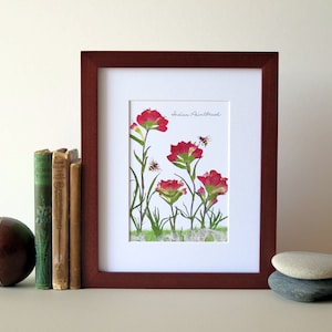 Pressed flower print, 8" x 10" matted, Indian Paintbrush with bees, wall decor no. 008