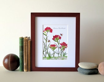 Pressed flower print, 8" x 10" matted, Indian Paintbrush with bees, wall decor no. 008