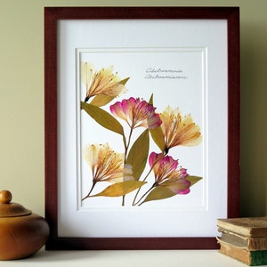 Pressed flowers print, 11x14 double matted, Alstroemeria flowers, home and garden gift, botanical wall art decor, no. 0064