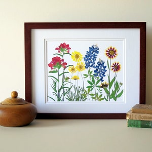 Pressed flower art print, 11x14 double matted, Texas wildflowers, Bluebonnet flowers and more, botanical wall art, gift for Texan, no. 0067 image 2