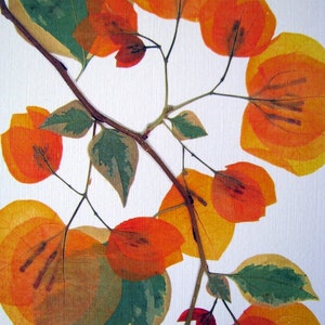 Pressed flower art, 8 x 10 matted, Bougainvillea blooms, flat flower designs, Apricot, botanical wall hanging art no. 066 image 4