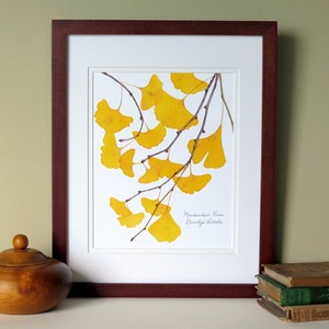 Pressed Ginkgo leaves print, 11x14 double matted, Ginkgo tree leaves, golden, yellow, wall decor art no. 0099 zdjęcie 2