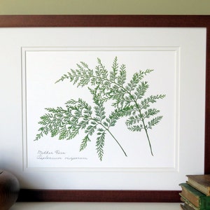 Pressed fern botanical art print, matted 11x14, Mother fern, woodland art, green and white,  Etsy nature wall decor no. 0091