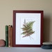 see more listings in the Botanical prints 8x10 section