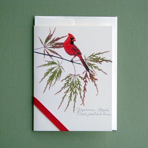 Japanese Maple leaves with red Cardinal, nature card, bird on branch, maple tree, botanical Christmas greeting card, no.1071