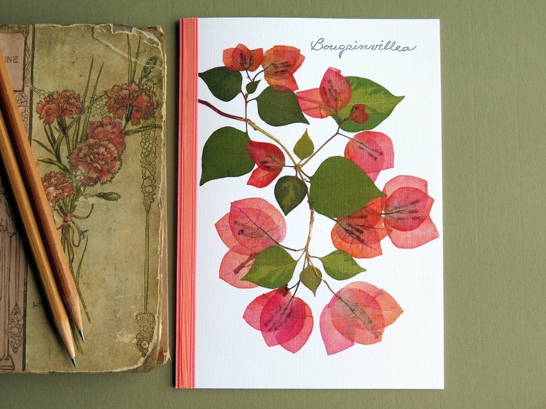Bougainvillea flowers, branch, green leaves, floral card, botanical, Bougainvilleas pressed flower greeting card, no.1033 image 6