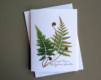 Wood fern card, fern card, pressed ferns, greeting card for nature lover, fiddlehead fern, greeting card no.1181