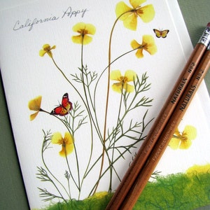 California Poppy flowers with tiny butterflies, yellow and green, botanical card, pressed flowers, pressed poppies, greeting card, no.1157 image 2