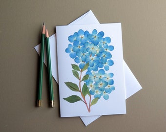 Blue Hydrangea flowers image, pressed flower cards, pressed flower, botanical greeting card, no.1148