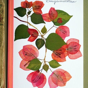 Bougainvillea flowers, branch, green leaves, floral card, botanical, Bougainvilleas pressed flower greeting card, no.1033 image 4