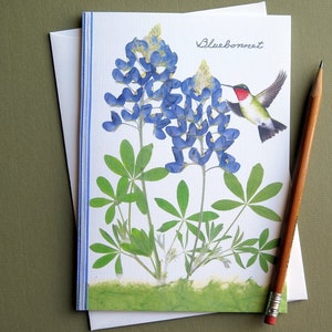 Bluebonnets with hummingbird, wildflowers, state flower of Texas, pressed Bluebonnets, Austin, botanical greeting card, no.1102